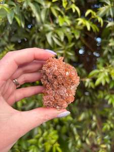 Aragonite Sputnik Cluster D