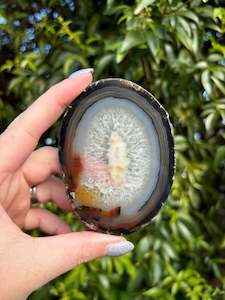 Slabs Slices: Agate Slice | Brown E