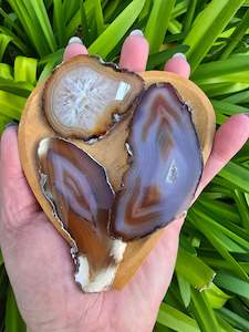 Agate Slice | Brown Medium