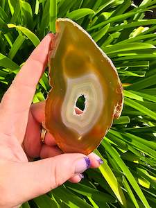 Agate: Agate Slice | Brown G