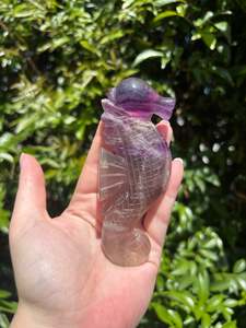Crystals: Fluorite Polished Sea Horse