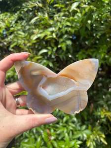 Druzy Agate Butterfly Piece C