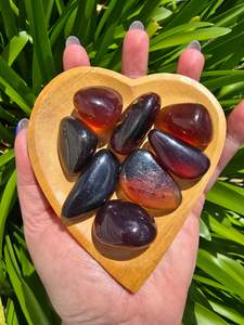 Tumbled Stones: Amber Tumbled Stone Medium