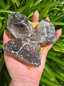 Smoky Quartz Rough Large