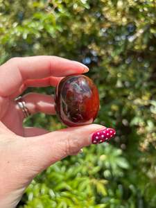 Carnelian Polished Palm Stone D