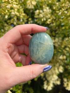 Palmstones: Aquamarine Palm Stone H