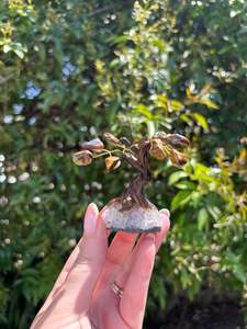 Tigers Eye Tree Small A