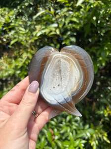 Carved Shapes Animals: Druzy Agate Angel Wings Piece B