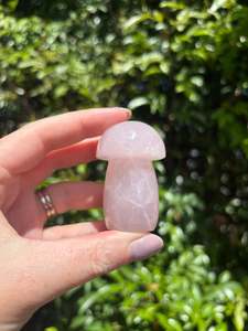 Carved Shapes Animals: Rose Quartz Mushroom C