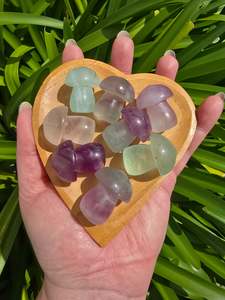 Carved Shapes Animals: Rainbow Fluorite Small Mushroom