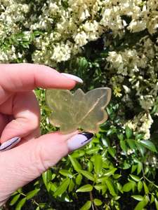Carved Shapes Animals: Rainbow Fluorite Butterfly E
