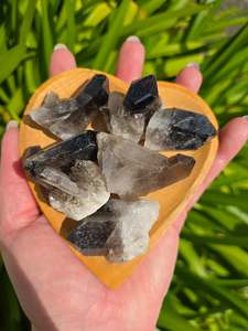 Smoky Quartz Medium Cluster