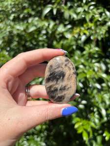 Palmstones: Black Moonstone Palm Stone F