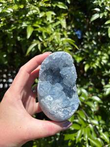 Eggs: Celestite Cluster Egg Large B