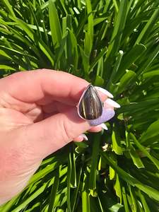 Jewellery: Tigers Iron | Polished Sterling Silver Adjustable Ring B