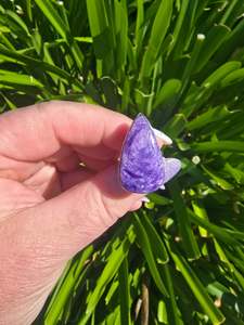 Rings: Charoite | Polished Sterling Silver Adjustable Ring B