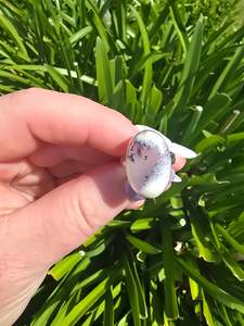 Dendritic Agate | Polished Sterling Silver Adjustable Ring A