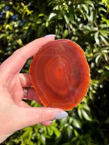 Agate Slice | Orange B