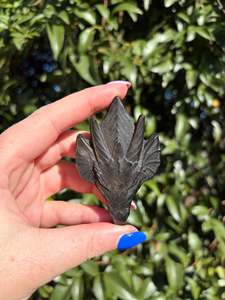 Crystals: Gold Sheen Obsidian Dragon Carving
