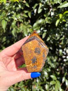 Crystals: Tigers Eye Semi Polished Point A