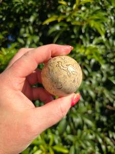 Fossil Medium Sphere