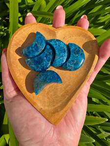 Carved Shapes Animals: Blue Apatite Small Moon