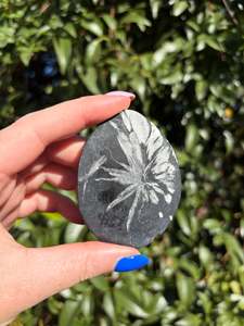 Chrysanthemum Stone Piece C