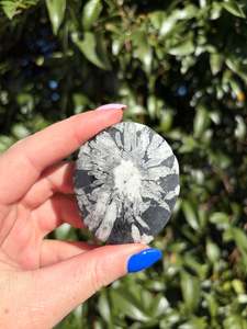 Chrysanthemum Stone Piece B