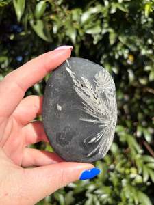 Chrysanthemum Stone Piece A