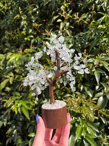 Clear Quartz Crystal Tree Medium