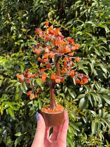 Carnelian Crystal Tree Medium