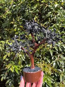 Black Onyx Crystal Tree Large