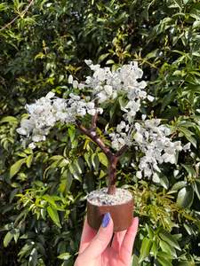 Rainbow Moonstone Crystal Tree Large