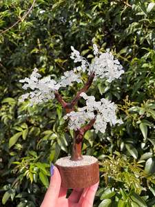 Clear Quartz Crystal Tree Large