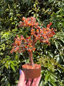 Other: Carnelian Crystal Tree Large