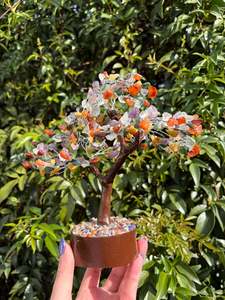 Mixed Crystal Tree Large