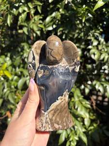 Volcano Agate XLarge Angel A