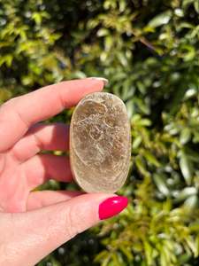 Golden Mica Palm Stone D