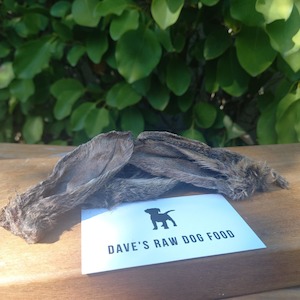 Rabbit Ears - 6 Pack