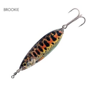 Black Magic Enticer Brookie