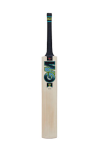 Cricket Bats: GM Aion Premier 404 Bat