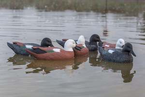 Game On 20" Magnum Paradise Duck Family