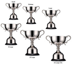 Products: Brighton trophy 240mm davyengravers