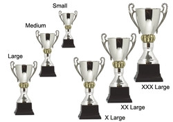 Products: Grand Trophy Cup 315mm davyengravers