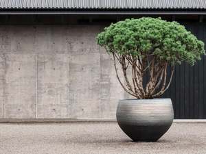 Gifting: NUUK