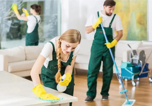 Products: Domestic Cleaning - dt services nz
