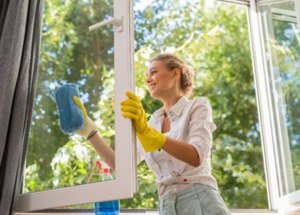 Products: Window Washing - dt services nz