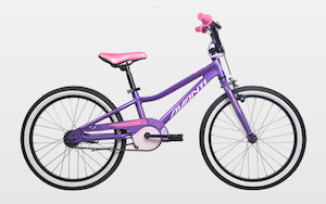 Kids Bikes: AVANTI Diana 20" Purple