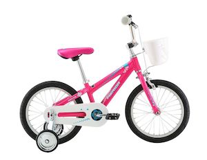 12 Bikes: 21 MATTS J16 GIRLS - PINK (BLUE/WHITE)