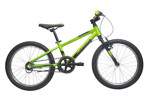 20 Bikes: AVANTI Bike Shadow 20-I Green/Black